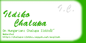 ildiko chalupa business card